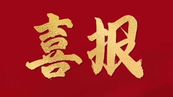 集團(tuán)榮膺中國(guó)民營(yíng)企業(yè)五百強(qiáng)第288位